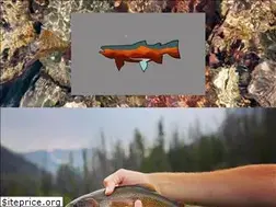 Sites similar to windriverflyfitter.com