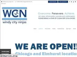 Sites similar to windycityninjas.com