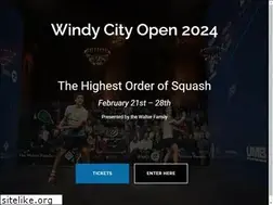 Sites similar to windycityopen.com