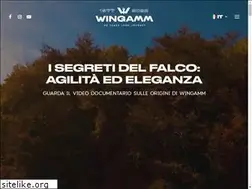 Sites similar to wingamm.com