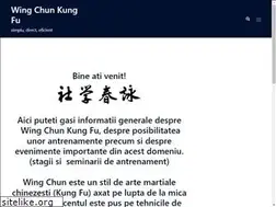Sites similar to wingchun.ro