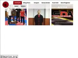 Sites similar to wingchunbursa.org