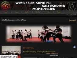 Sites similar to wingshun.fr