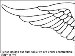 Sites similar to wingsusa.com