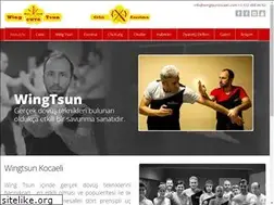 Sites similar to wingtsunkocaeli.com