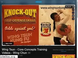 Sites similar to wingtsunkungfu.com