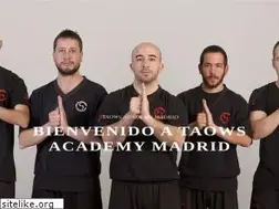 Sites similar to wingtsunmadrid.es
