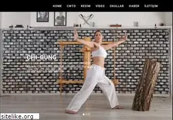 Sites similar to wingtsunturkey.com