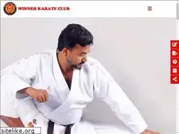 Sites similar to winnerkarate.com