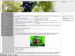 Sites similar to winnicepolskie.pl