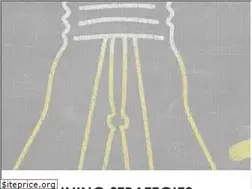 Sites similar to winningstrategies.com