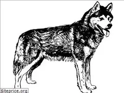 Sites similar to winpes.cz