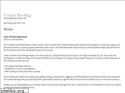 Sites similar to winston-salemroofer.com