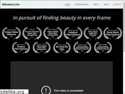 Sites similar to winstonlim.com