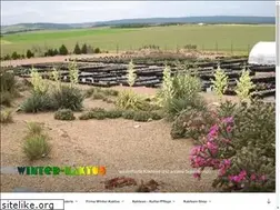 Sites similar to winter-kaktus.com