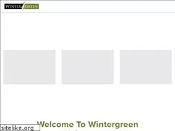 Sites similar to wintergreenland.com