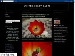 Sites similar to winterhardycacti.blogspot.com