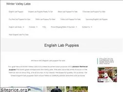 Sites similar to wintervalleylabs.com