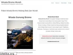 Sites similar to wisatabromomurah.com