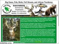 Sites similar to wisconsintaxidermist.com