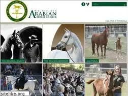 Sites similar to wkkelloggarabianhorsecenter.com