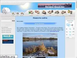 Sites similar to wmouse.ru