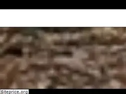 Sites similar to wncwashingandstaining.com