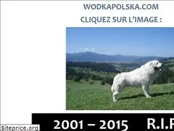 Sites similar to wodkapolska.com