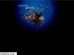 Sites similar to wolcotthenry.com