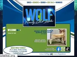 Sites similar to wolfclublambs.com