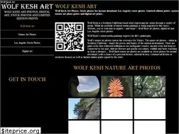 Sites similar to wolfkeshart.com