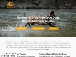 Sites similar to wolfsbanek9.com