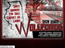 Sites similar to wollermanshowlambs.com