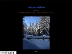 Sites similar to wolverinemi.com