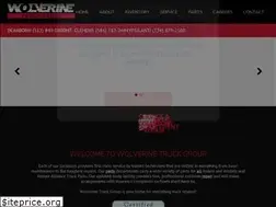 Sites similar to wolverinetruckgroup.com