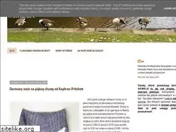 Sites similar to wombart.blogspot.com