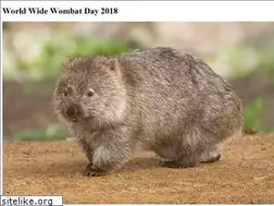 Sites similar to wombat.ie