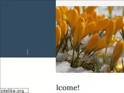 Sites similar to womenscounselingofnashua.com