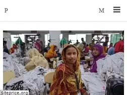 Sites similar to womensenews.org