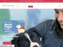 Sites similar to wonder-puppy.com