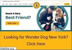 Sites similar to wonderdogrescue.org