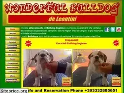 Sites similar to wonderfulbulldog.com