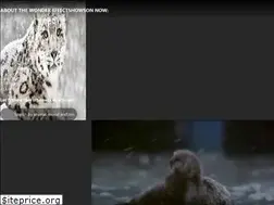 Sites similar to wonderstrucktv.com