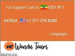 Sites similar to wondutoursethiopia.com