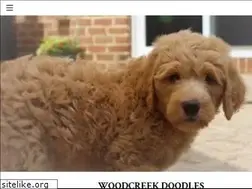 Sites similar to woodcreekdoodles.com