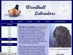 Sites similar to woodhulllabs.com