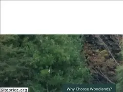 Sites similar to woodlands.ealing.sch.uk