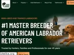 Sites similar to woodythurman.com