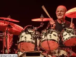 Sites similar to woodywoodmansey.com