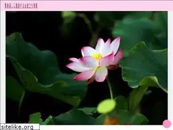 Sites similar to wordswewomenwrite.com